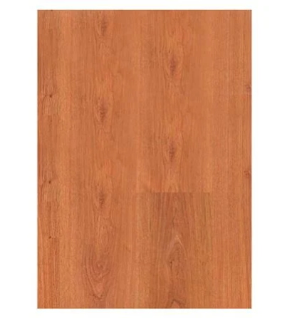 02032022_1175113$Imagec1