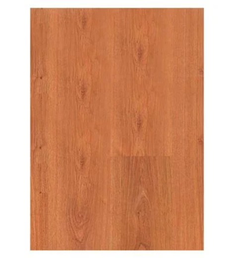 02032022_1175113$Imagec1