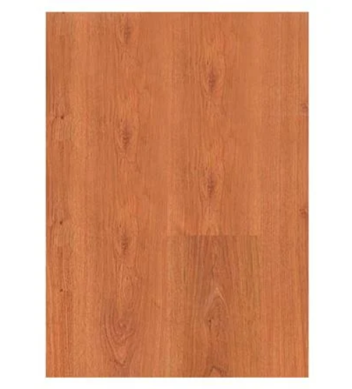 02032022_1175113$Imagec1