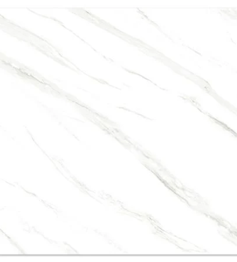 03012024_1186983$Imagec1