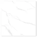 11122023_1244962$Imagec1