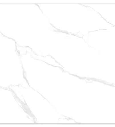 11122023_1244962$Imagec1