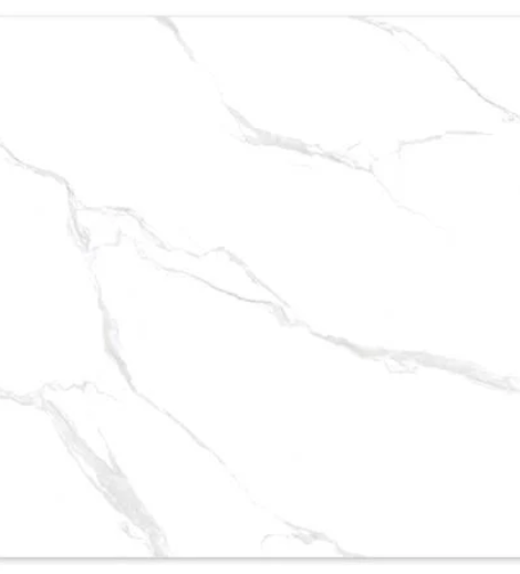 11122023_1244962$Imagec1