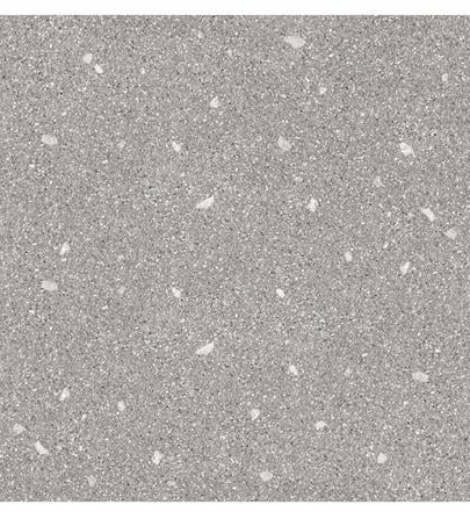 12062024_1251683$Imagec1