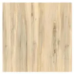 18062024_1249336$Imagec1