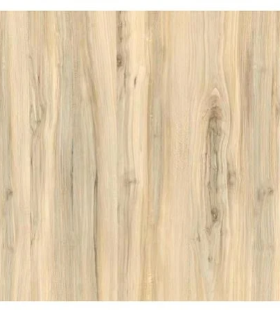 18062024_1249336$Imagec1