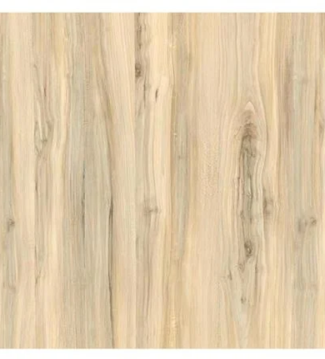 18062024_1249336$Imagec1