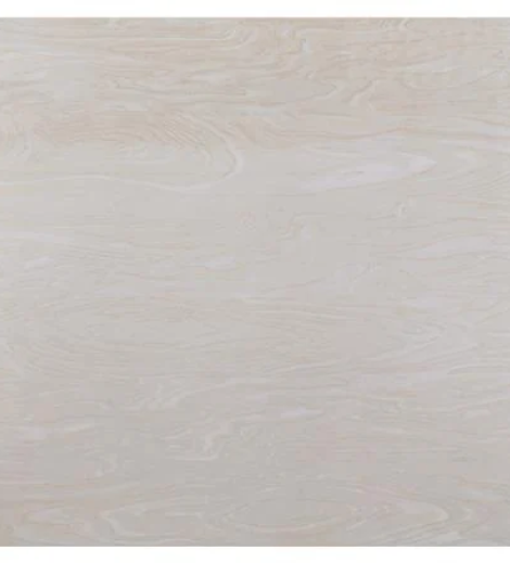 19022025_1251446$Imagec1