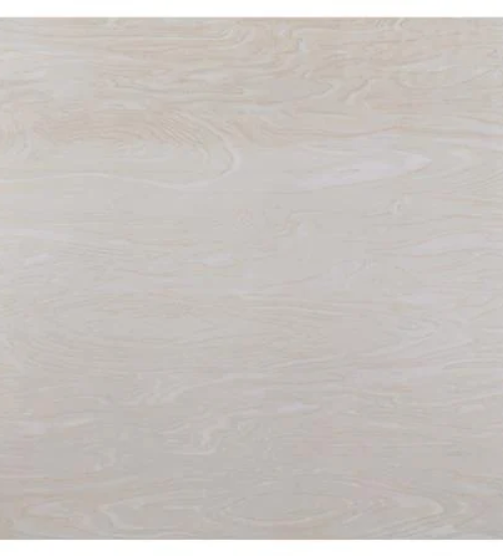 19022025_1251446$Imagec1