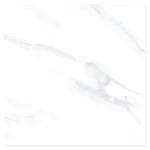 20062023_1231235$Imagec1