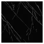 21092023_1226025$Imagec1