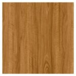 29032023_1106827$Imagec1