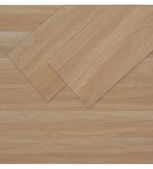 30102023_1234619$Imagec1