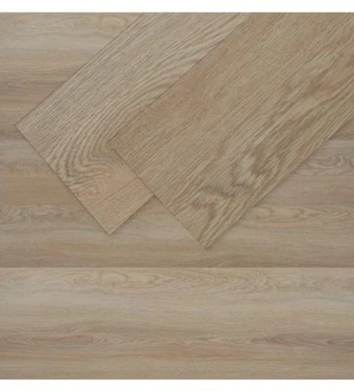 30102023_1234744$Imagec1